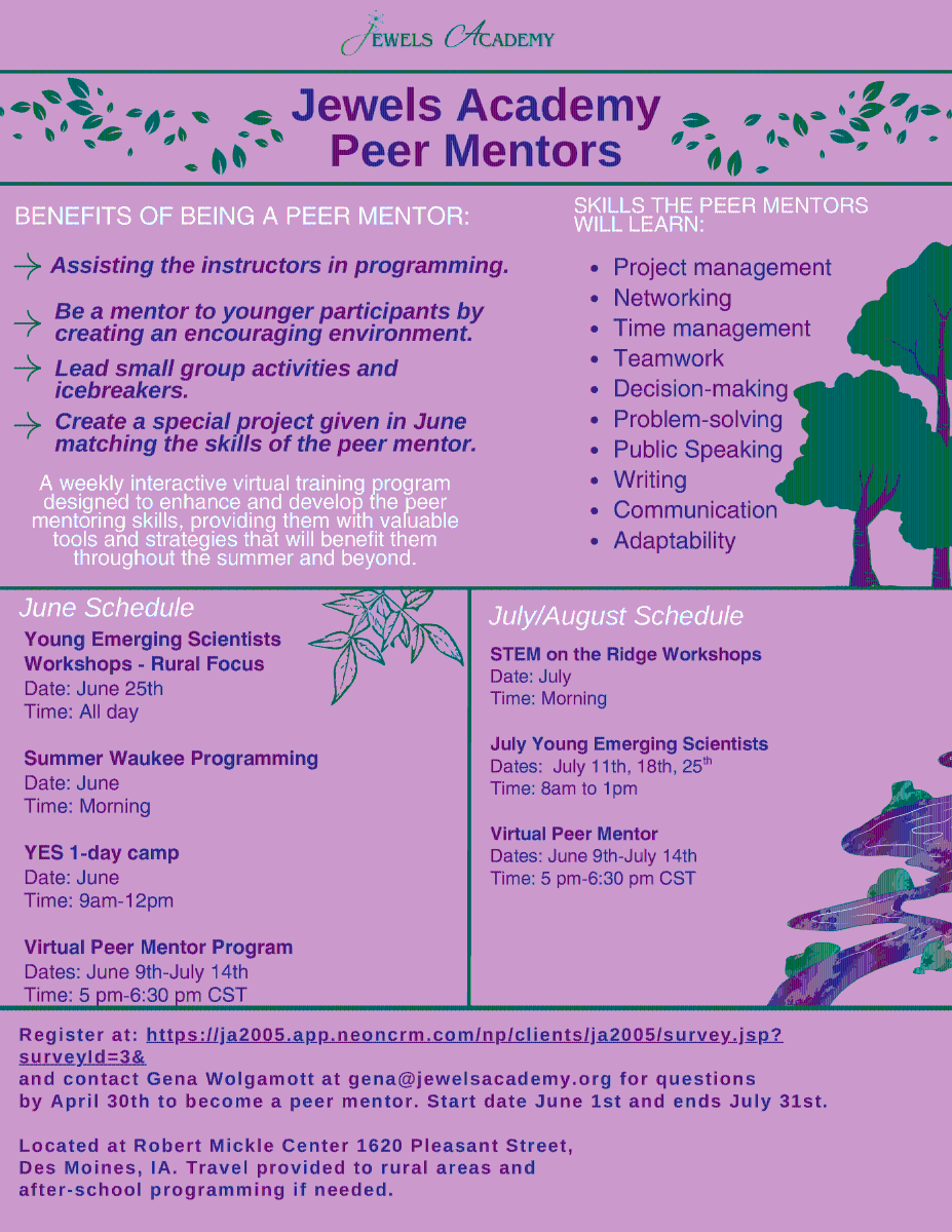 Peer%20Mentor%20Fact%20Sheet%202026%20Update.png